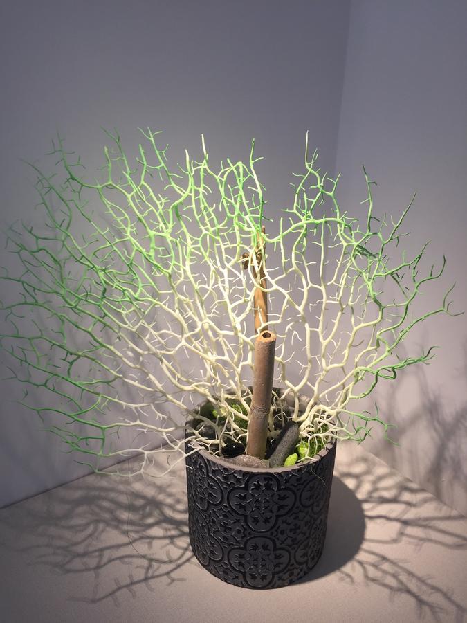 卡斯泰拉马莱Le Nereidi住宿加早餐旅馆 外观 照片